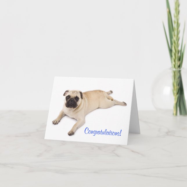 Congratulations Pug Blank Note Card (Front)
