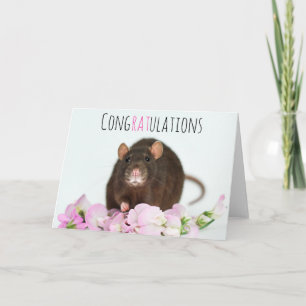 Congratulations Rat Card