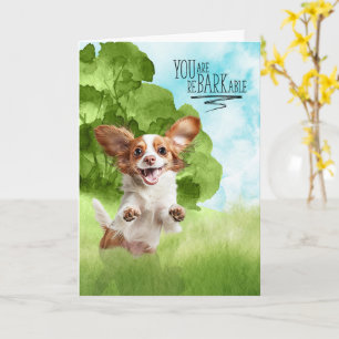 Congratulations reBARKable Cavalier King Charles Card