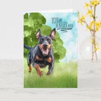 Congratulations reBARKable Doberman Dog