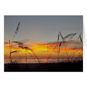 Congratulations Sunset and Sea Oats Greeting Card