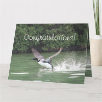 Congratulations Taking Flight