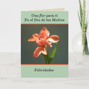 Congratulations to you on the day of las madres card