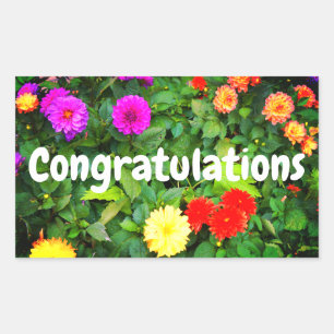 Congratulations Various Dahlias #1-2 Stickers