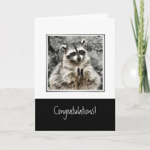 Congratulations with Funny Clapping Raccoon Pet Holiday Card