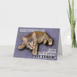 Congratulations! You're being neutered! Card