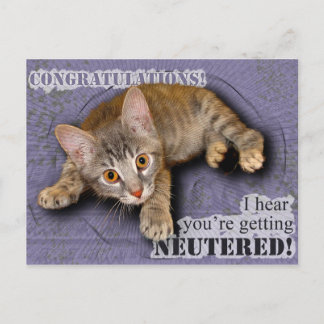 Congratulations! You're being neutered! Postcard