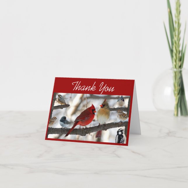 Congregating Birds Thank You Card (Front)