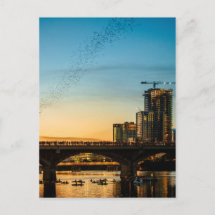 Congress Avenue Bridge Bat Watching Postcard