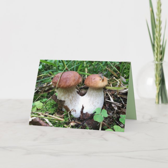 Conjoined Mushrooms Blank Photo Greeting Card (Front)