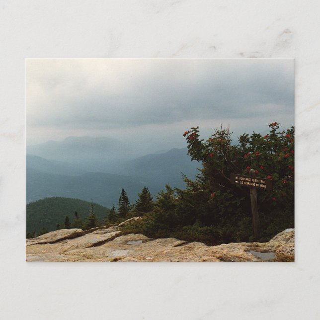 Connectez-vous à la carte postale du mont New Hamp (Devant)
