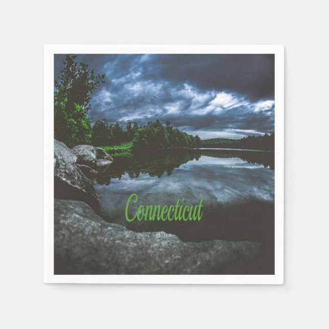 Connecticut Beutiful Lake Trees Napkin (Front)