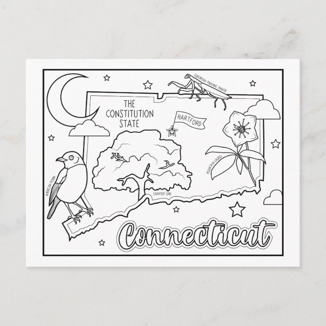 connecticut colour me collage postcard (Front)