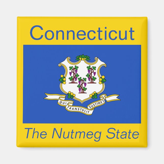 Connecticut Flag Magnet (Front)