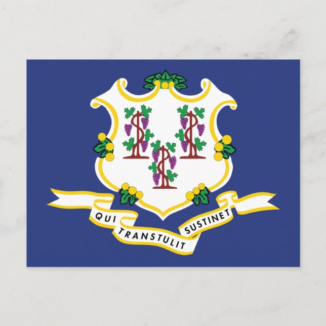Connecticut Flag Souvenir Nutmeg State Shield Postcard (Front)
