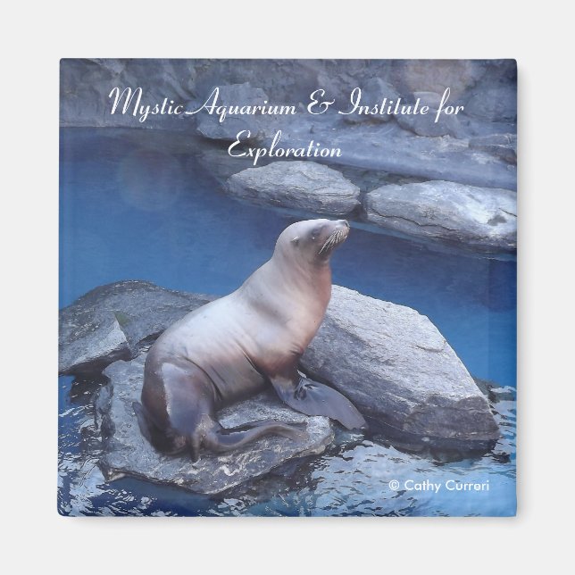 Connecticut Magnet (Front)