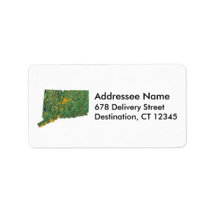 Connecticut Map Address Label