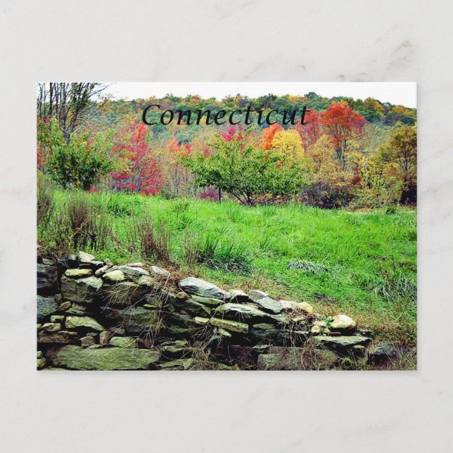 Connecticut Postcard (Front)