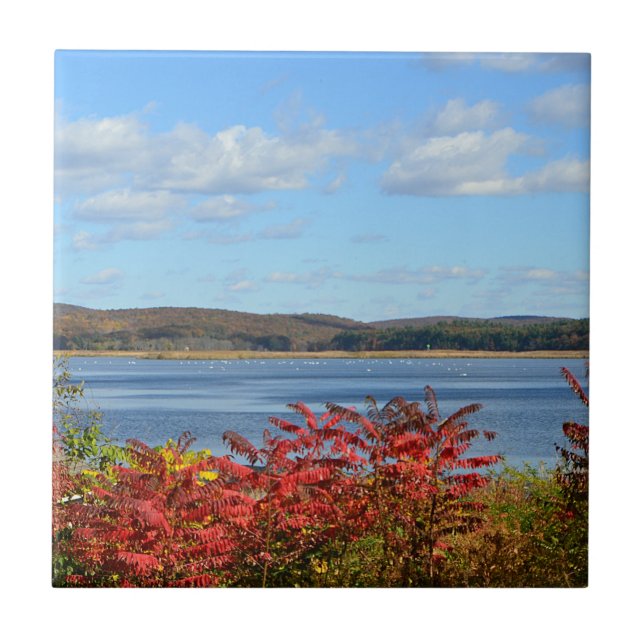 Connecticut River Tile (Front)