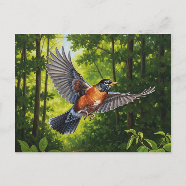 Connecticut State Bird American Robin Postcard (Front)