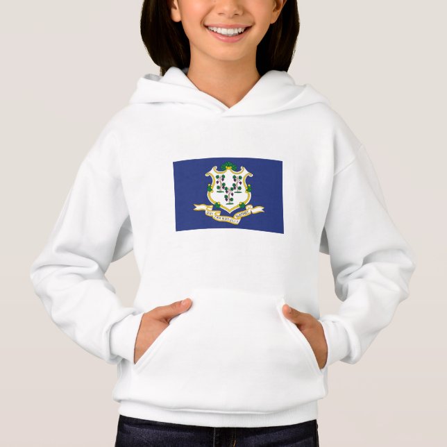 Connecticut State Flag (Front)