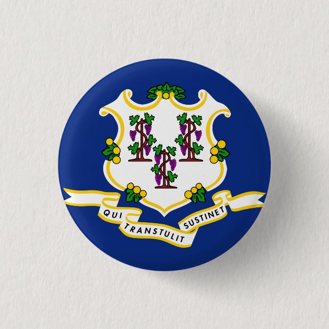 Connecticut State Flag 1 Inch Round Button (Front)