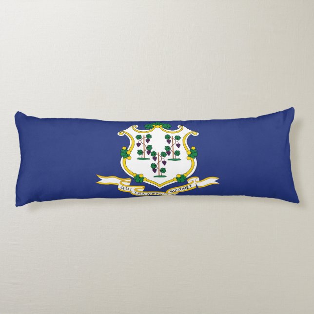Connecticut State Flag Body Pillow (Back)
