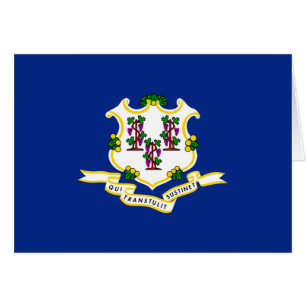 Connecticut State Flag Design