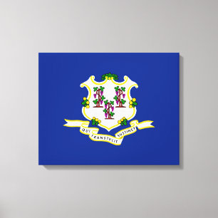Connecticut State Flag Design Canvas Print