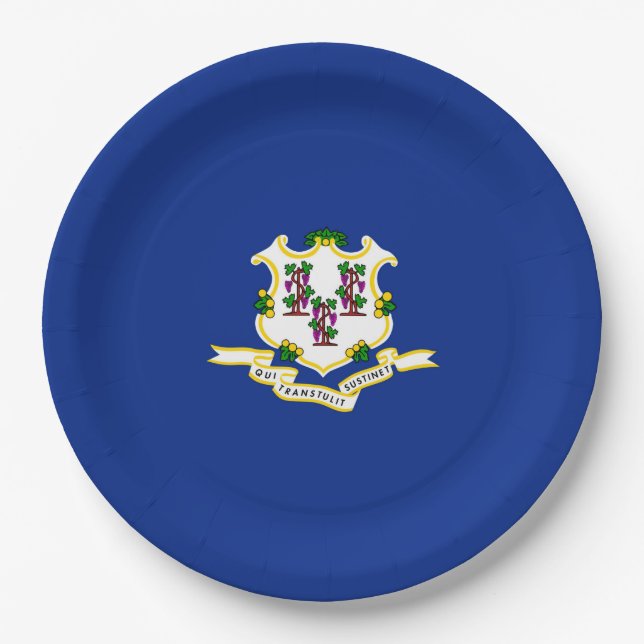 Connecticut State Flag Design Paper Plate (Front)