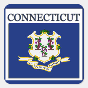 Connecticut State Flag Design Sticker