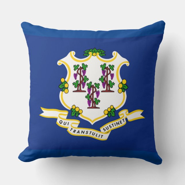 Connecticut State Flag Throw Pillow (Front)