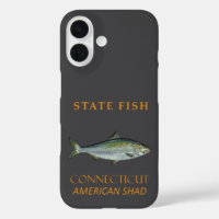 Connecticut Territory Fish The American Shad