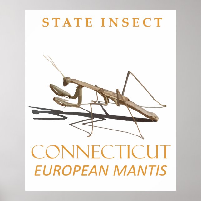 Connecticut Territory Insect Mantis religiosa Poster (Front)