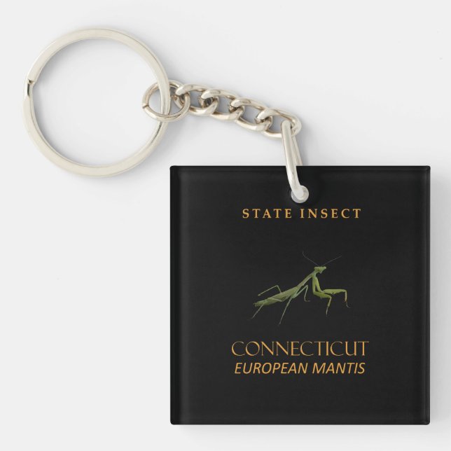 Connecticut Territory Insect The Praying Mantis Keychain (Front)