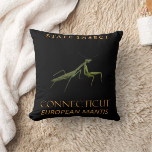 Connecticut Territory Insect The Praying Mantis Throw Pillow