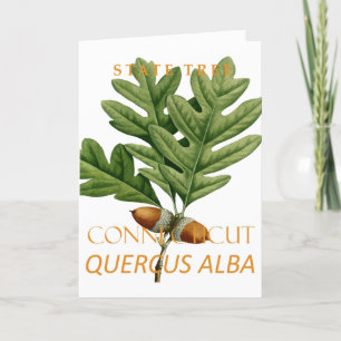 Connecticut Territory Tree The White Oak Holiday Card