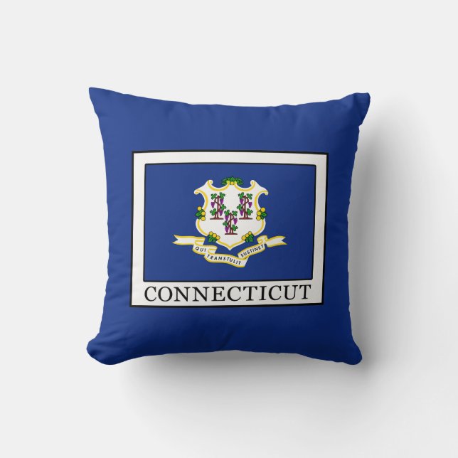 Connecticut Throw Pillow (Front)