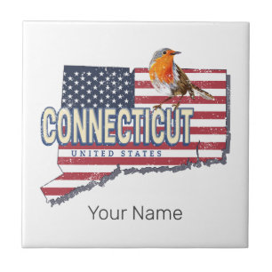 Connecticut united states retro state map vintage tile