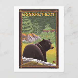 ConnecticutBlack Bear in Forest Postcard