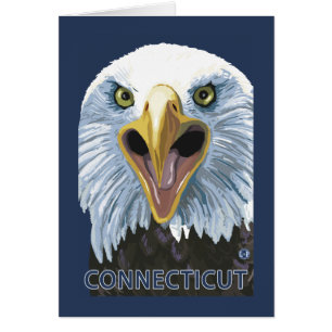 ConnecticutEagle Up Close