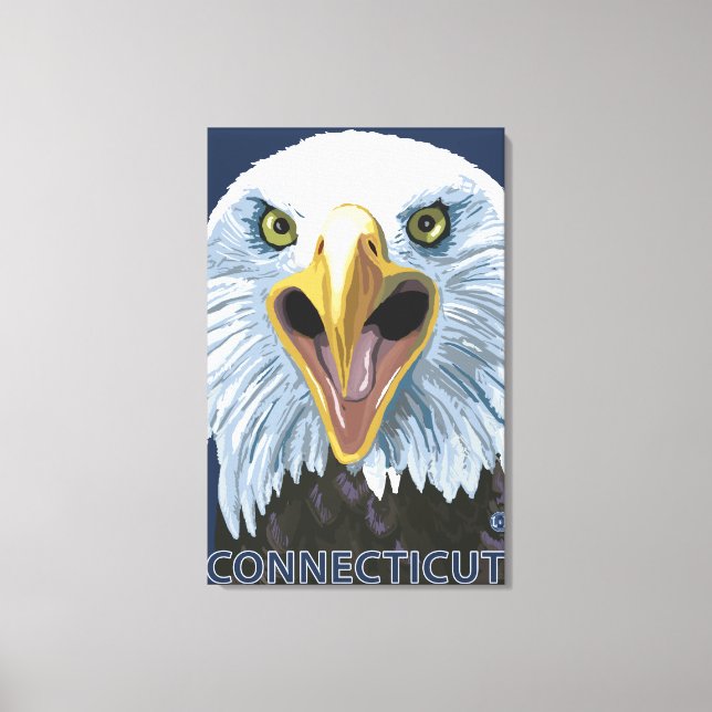 ConnecticutEagle Up Close Canvas Print (Front)