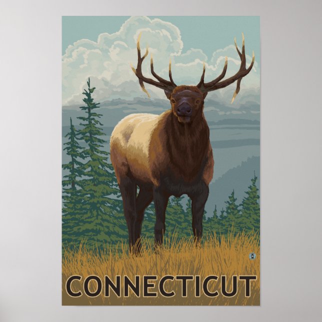 ConnecticutElk Scene Poster (Front)