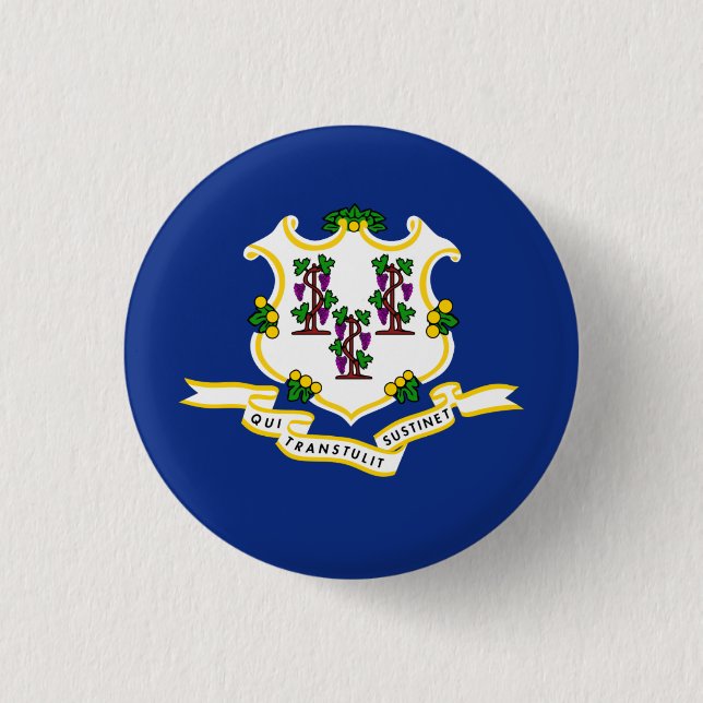 Connecticuter Flag, Flag of Connecticut 1 Inch Round Button (Front)