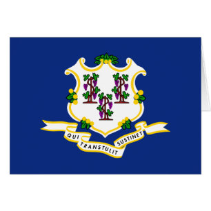 Connecticut's Flag