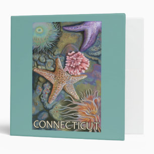ConnecticutTidepool Scene Binder
