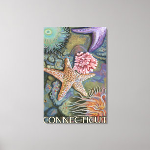 ConnecticutTidepool Scene Canvas Print