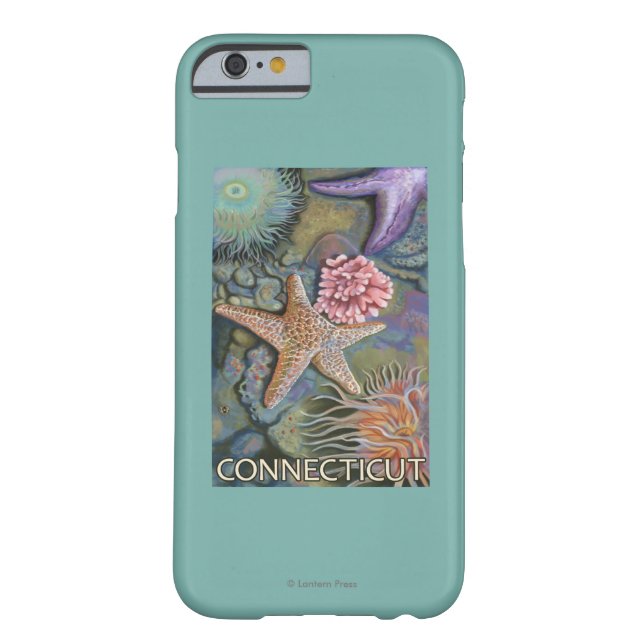 ConnecticutTidepool Scene Case-Mate iPhone Case (Back)