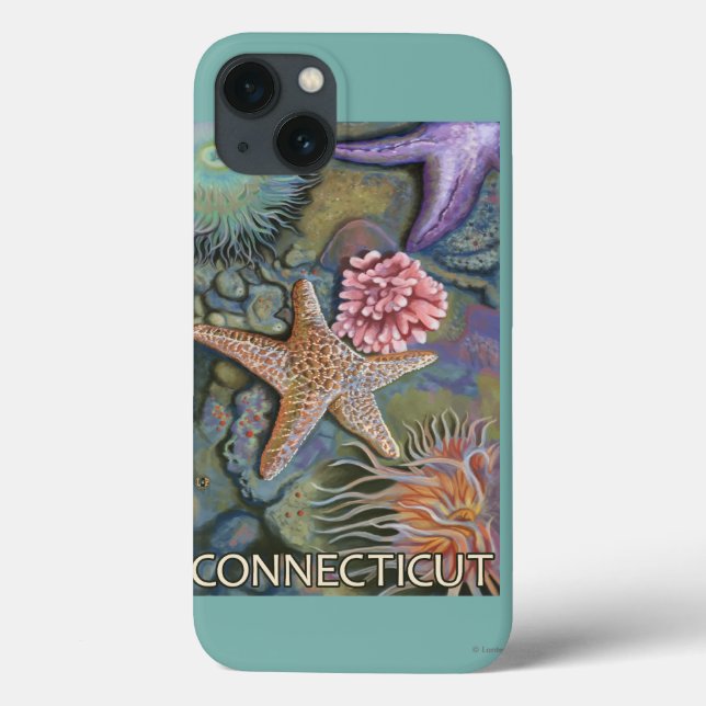 ConnecticutTidepool Scene Case-Mate iPhone Case (Back)