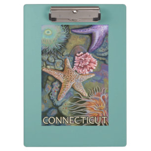 ConnecticutTidepool Scene Clipboard